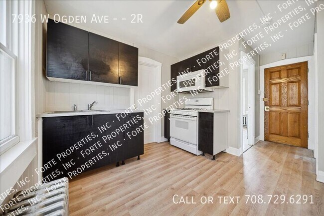 7936 Ogden Ave, Unit 2R in Lyons, IL - Building Photo - Building Photo