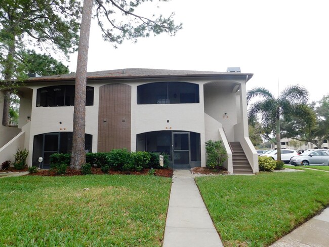 3017 Bonaventure Cir in Palm Harbor, FL - Building Photo - Building Photo