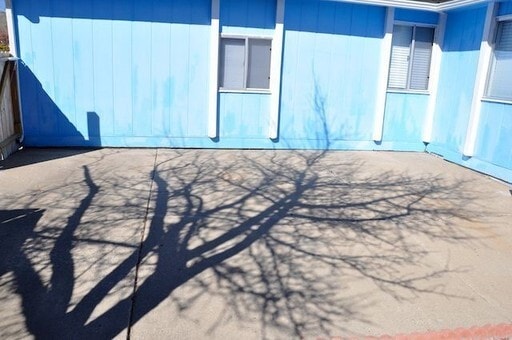 6785 Lotus St in Reno, NV - Building Photo - Building Photo