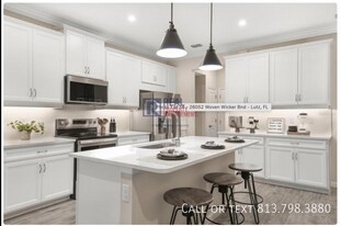 26052 Woven Wicker Bnd in Lutz, FL - Building Photo