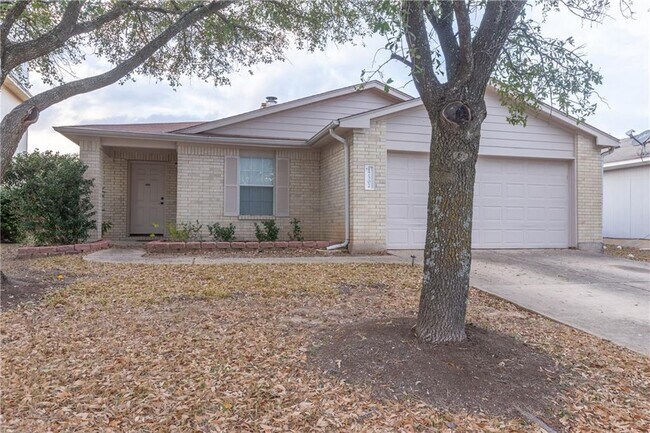 17302 Dashwood Creek Dr in Pflugerville, TX - Building Photo - Building Photo