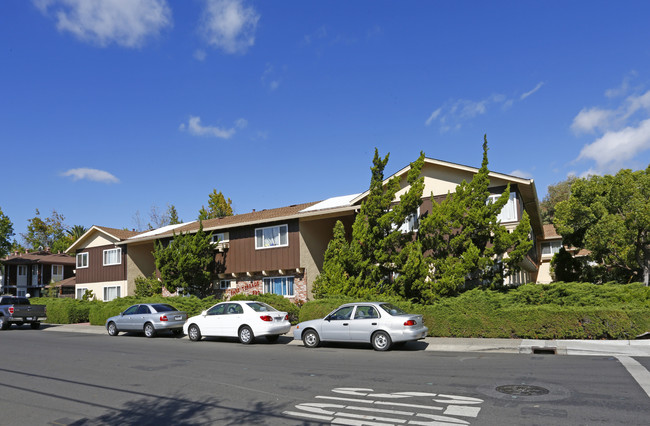 Park Terrace in Palo Alto, CA - Foto de edificio - Building Photo