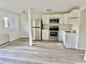 473 Maple St in Stowe, VT - Building Photo