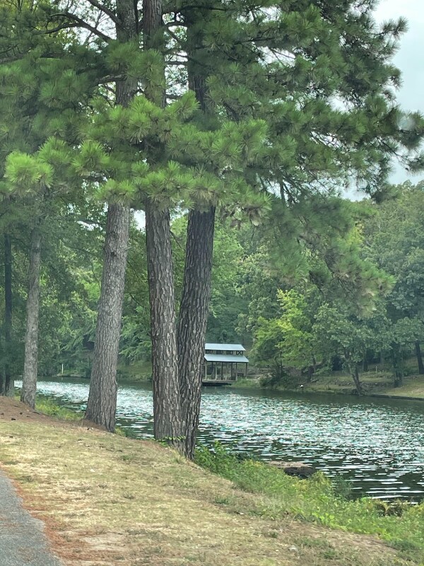 3737 Lakeshore Dr in North Little Rock, AR - Building Photo - Building Photo