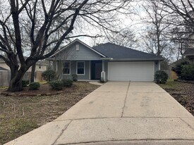 10 Druids Glen Pl in Spring, TX - Building Photo