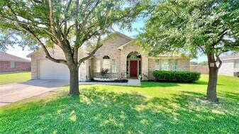 18720 Alnwick Castle Dr in Pflugerville, TX - Building Photo