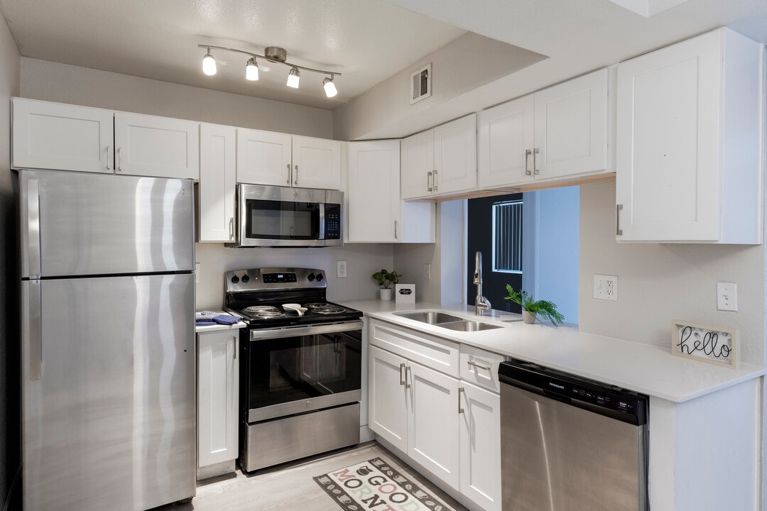 Ventana Palms in Phoenix, AZ - Building Photo