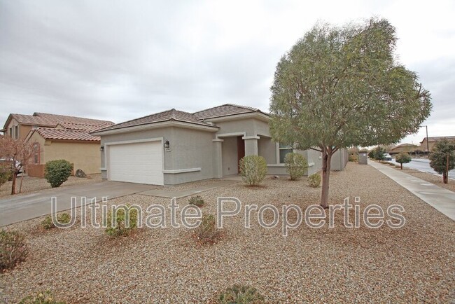 17591 W Jessie Ln in Surprise, AZ - Building Photo - Building Photo