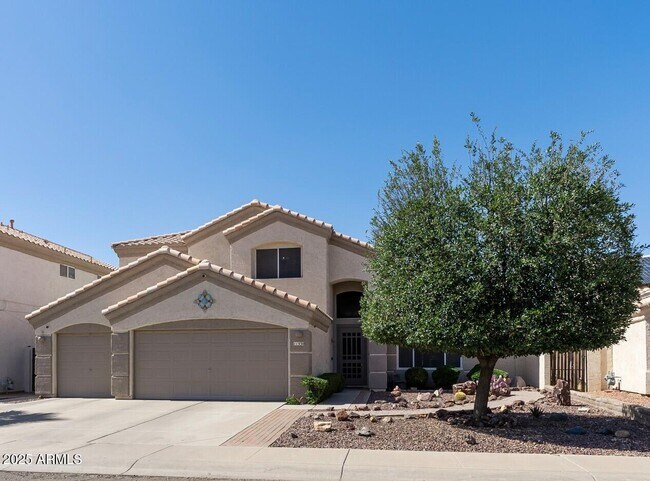 11530 W Palm Brook Dr in Avondale, AZ - Building Photo - Building Photo