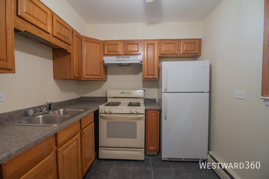 13027 Seeley Ave in Blue Island, IL - Building Photo