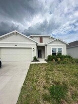 4223 Little Owl Ln in Kissimmee, FL - Building Photo
