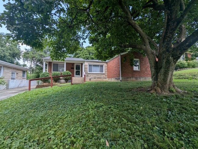 property at 3503 Huon Dr