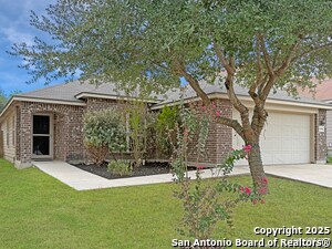 4096 Cherry Tree Dr in Schertz, TX - Building Photo