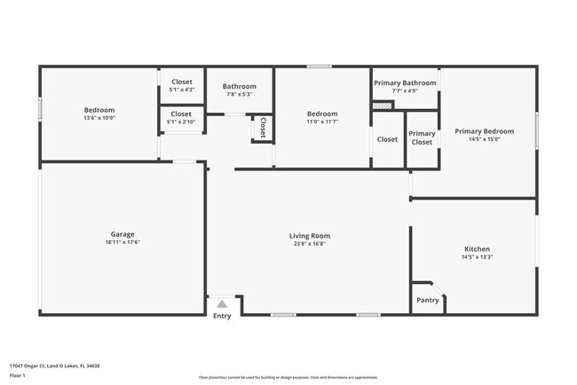 17047 Ongar Ct in Land O Lakes, FL - Building Photo - Building Photo