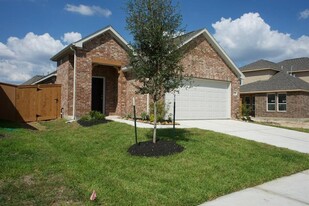 21222 Catalina Palm Dr in Cypress, TX - Foto de edificio - Building Photo