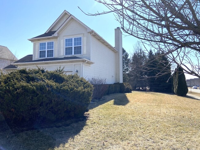 11717 S Derby Ln in Plainfield, IL - Foto de edificio - Building Photo