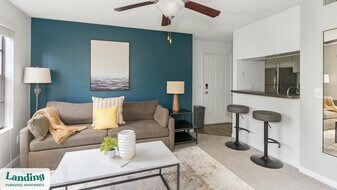 10263 Whispering Forest Dr in Jacksonville, FL - Building Photo