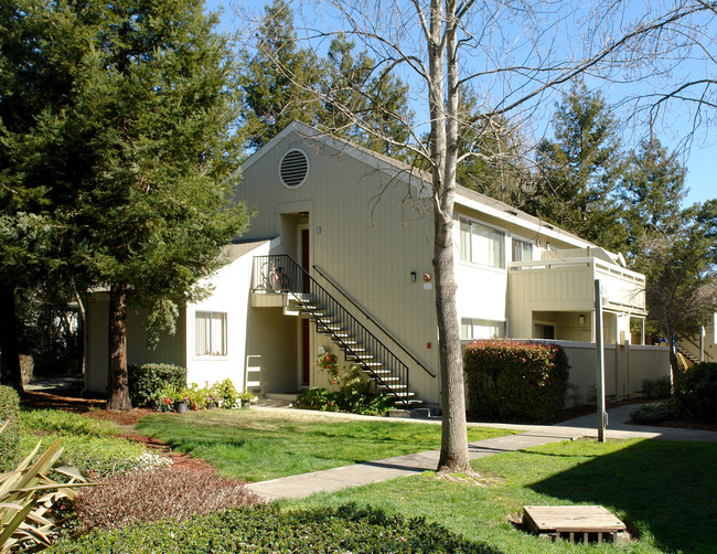 West Avenue Apartments in Santa Rosa, CA - Building Photo - Building Photo