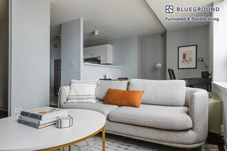 445 E Ohio St in Chicago, IL - Building Photo - Building Photo