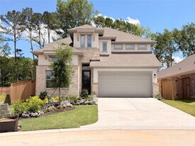 22403 Sawmill Pass Ln in Porter, TX - Building Photo