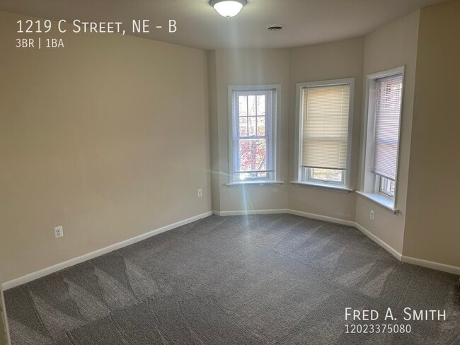 1219 C St NE in Washington, DC - Building Photo - Building Photo