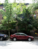 388 Pacific St in Brooklyn, NY - Building Photo
