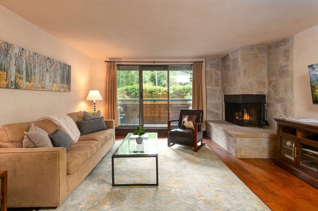 1024 E Hopkins Ave in Aspen, CO - Building Photo - Building Photo