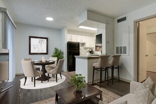 Seraphina Castle Hills in San Antonio, TX - Building Photo