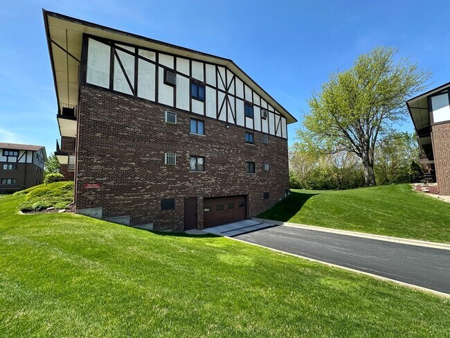 11006 Theresa Cir, Unit 2 in Palos Hills, IL - Building Photo - Building Photo