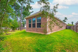 323 Fanpalm Ct in Willis, TX - Building Photo