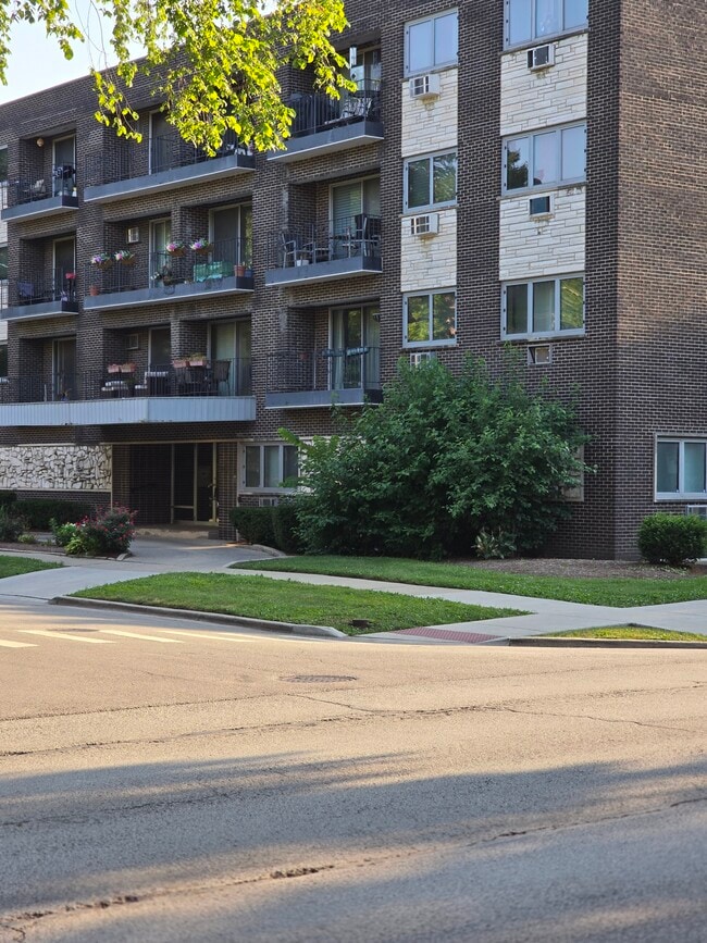 401 S Grove Ave, Unit 1A in Oak Park, IL - Building Photo - Building Photo