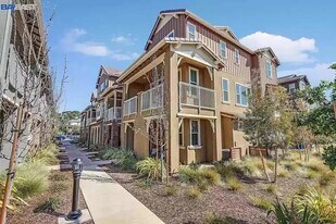 119 Apricot St in Livermore, CA - Building Photo