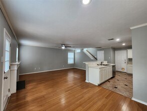 119 Anise Tree Pl in Spring, TX - Building Photo - Building Photo