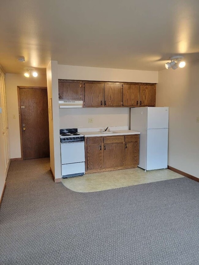 436 E Main St, Unit E in Plymouth, WI - Building Photo - Building Photo
