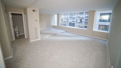 233 E Erie St in Chicago, IL - Foto de edificio - Building Photo