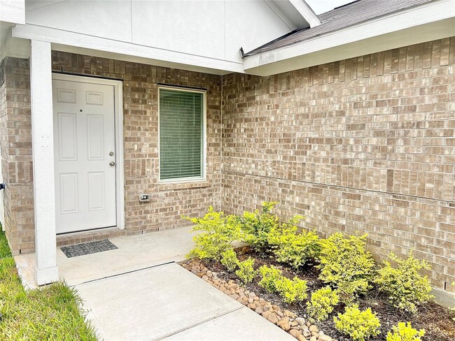 18966 Panzini Dr in New Caney, TX - Building Photo - Building Photo
