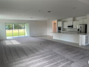 10060 Dolphin Gull Cir in Thonotosassa, FL - Building Photo - Building Photo