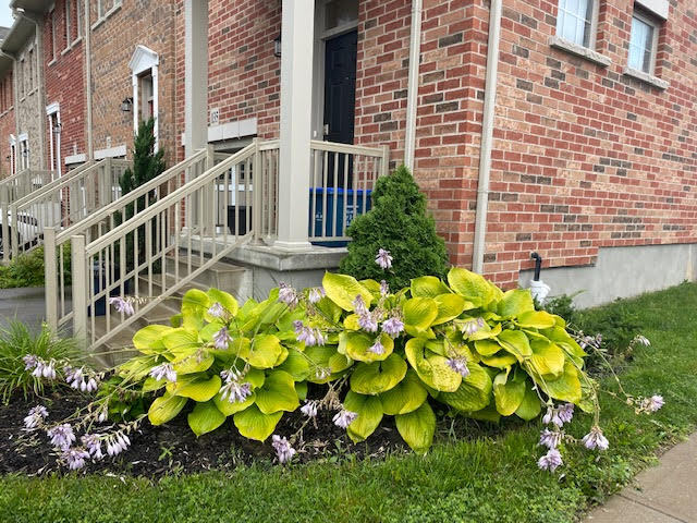 135 St Leger St in Kitchener, ON - Building Photo