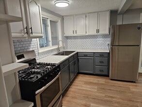 310 Green St in Plainfield, IN - Foto de edificio - Building Photo