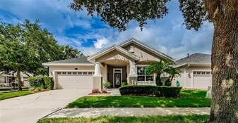 18235 Fall Creek Dr in Lutz, FL - Building Photo