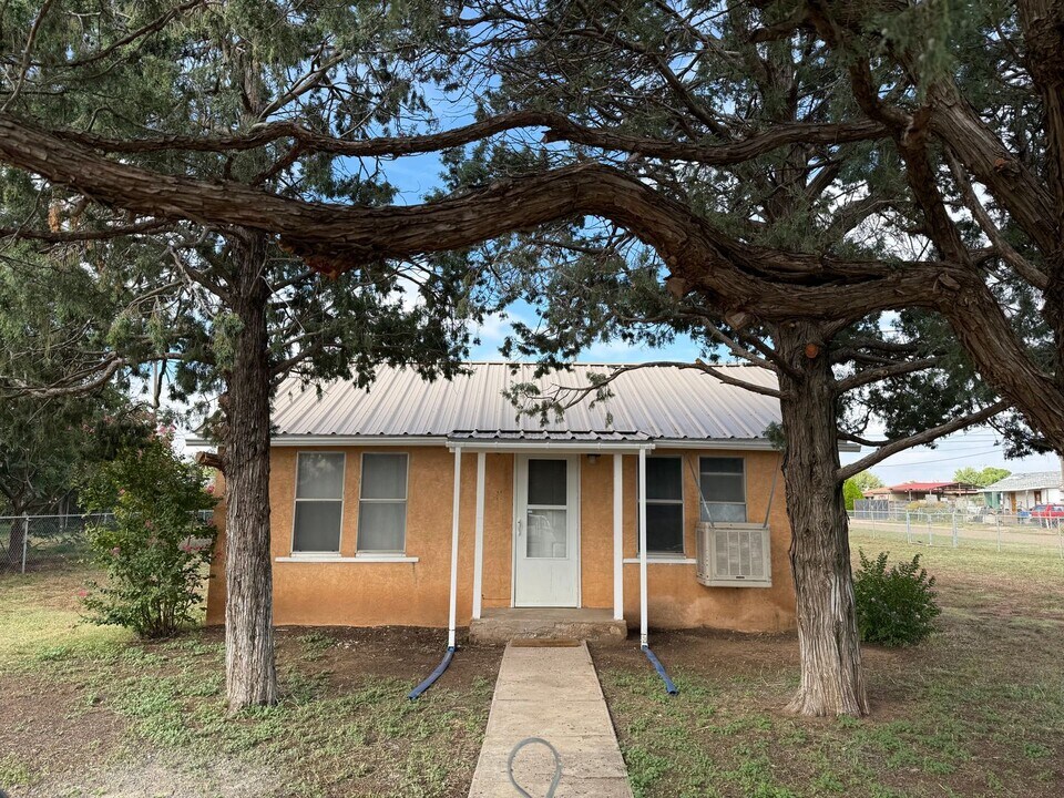 316 N Walnut St in Clovis, NM - Building Photo