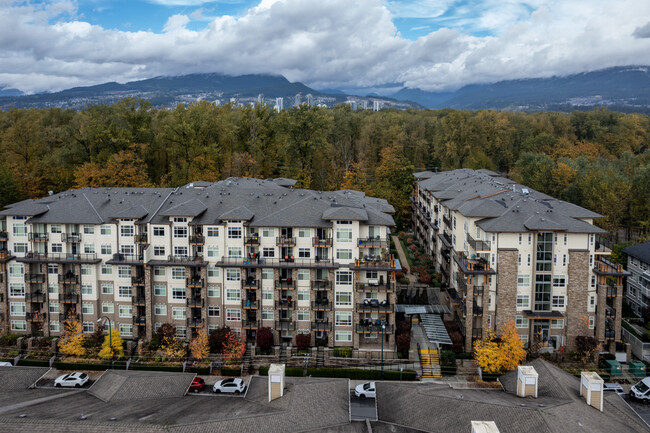 Orchid in Port Coquitlam, BC - Building Photo - Building Photo