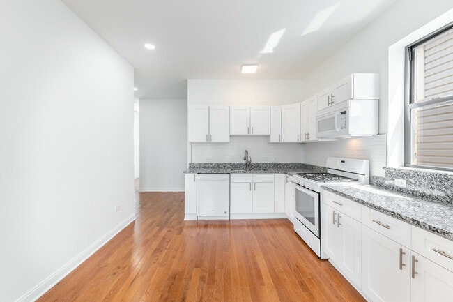 914 W 19th Plz, Unit 2 in Chicago, IL - Building Photo - Building Photo