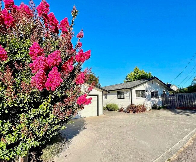 5297 Lone Pine Rd in Sebastopol, CA - Building Photo - Building Photo