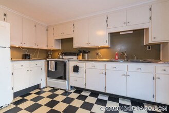 199 Mt Auburn St in Cambridge, MA - Building Photo - Building Photo