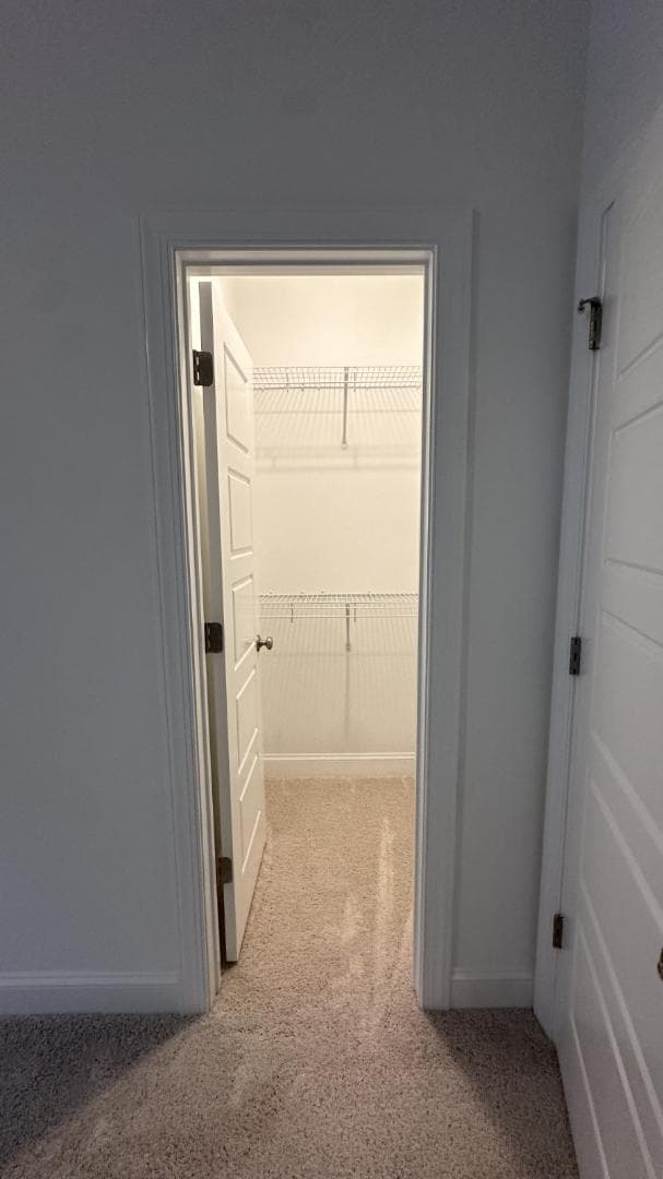 507 Richland Crst Ln in Wake Forest, NC - Building Photo - Building Photo