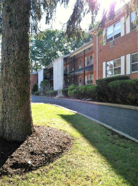 393 Grove St in North Plainfield, NJ - Building Photo