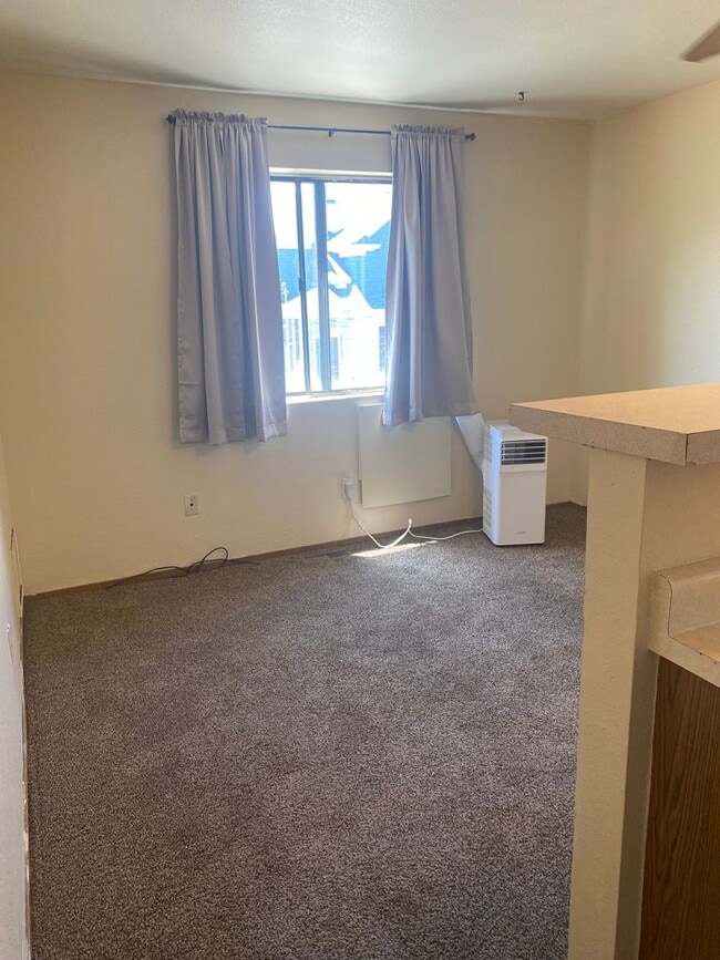 316 Roberts St in Reno, NV - Building Photo - Building Photo
