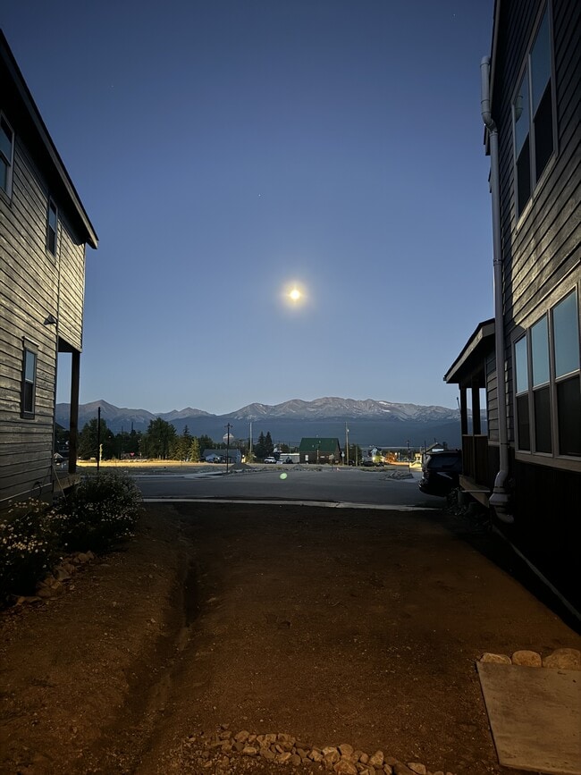1302 Silver Vault St in Leadville, CO - Building Photo - Building Photo