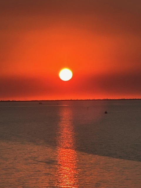 95 N Marion Ct, Unit 233 in Punta Gorda, FL - Building Photo